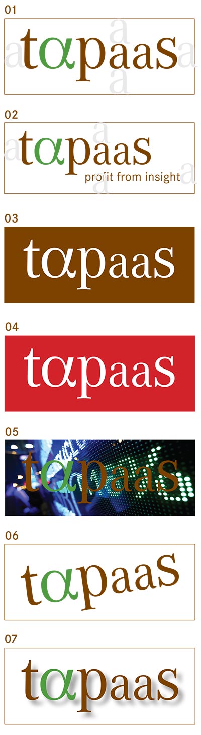 The Tapaas Corporate Guidelines - Doe's & Dont's