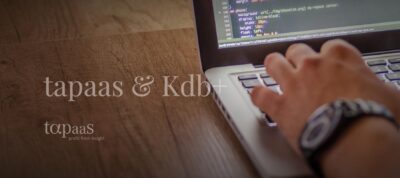 Tapaas - Running Kdb+ On Windows